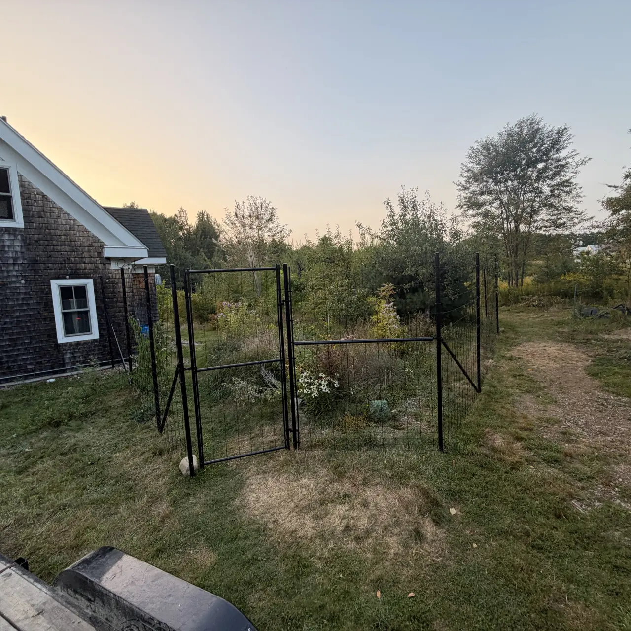 Tall wire garden enclosure and pedestrian gate