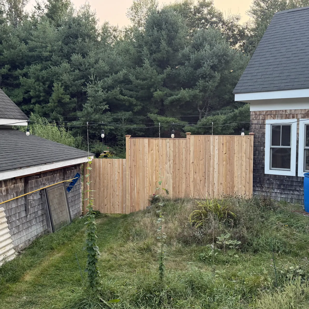 Wood privacy fence between outbuildings